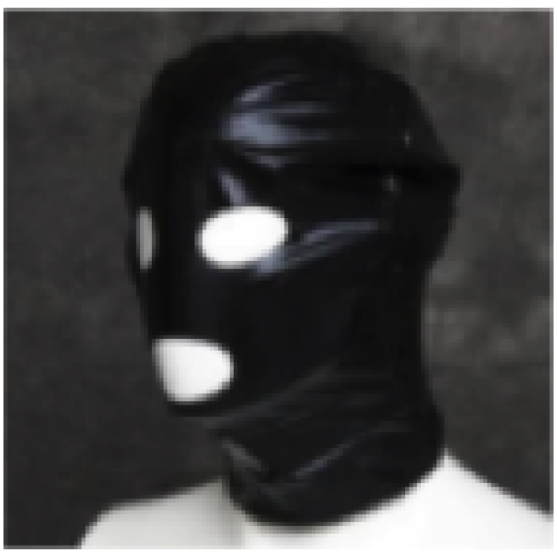 Fetiche Black Full Mask