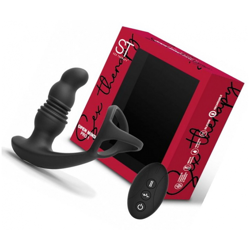 OPEN MIND PRO 1